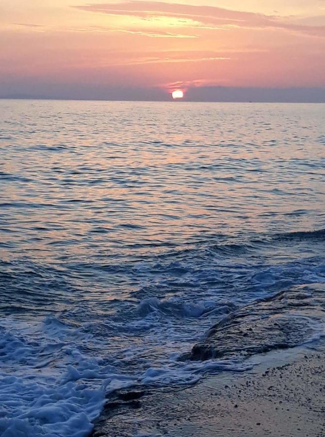 Akrothalassia ลีเกีย ภายนอก รูปภาพ
